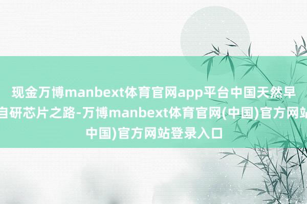 现金万博manbext体育官网app平台中国天然早就开启了自研芯片之路-万博manbext体育官网(中国)官方网站登录入口