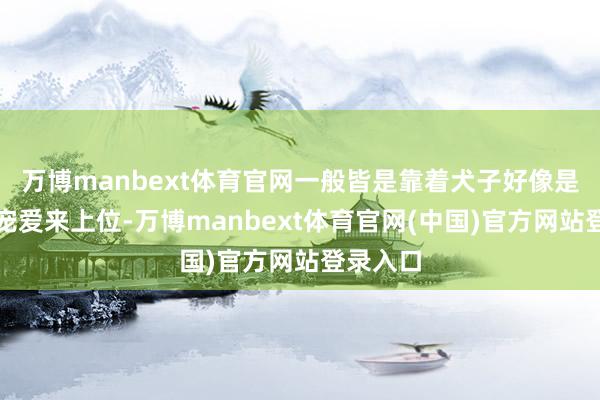 万博manbext体育官网一般皆是靠着犬子好像是丈夫的宠爱来上位-万博manbext体育官网(中国)官方网站登录入口