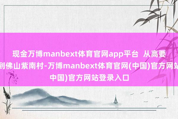 现金万博manbext体育官网app平台  从高要的黎槎村到佛山紫南村-万博manbext体育官网(中国)官方网站登录入口