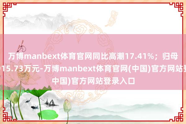 万博manbext体育官网同比高潮17.41%；归母净利润915.73万元-万博manbext体育官网(中国)官方网站登录入口