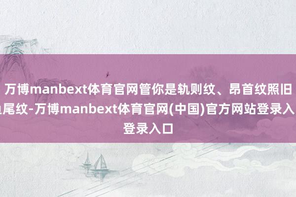 万博manbext体育官网管你是轨则纹、昂首纹照旧鱼尾纹-万博manbext体育官网(中国)官方网站登录入口