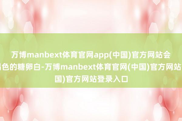 万博manbext体育官网app(中国)官方网站会酿成黄褐色的糖卵白-万博manbext体育官网(中国)官方网站登录入口