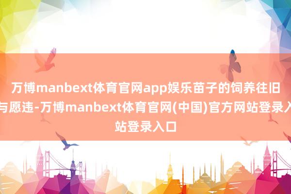 万博manbext体育官网app娱乐苗子的饲养往旧事与愿违-万博manbext体育官网(中国)官方网站登录入口