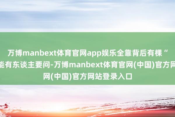 万博manbext体育官网app娱乐全靠背后有棵“钱树子”可能有东谈主要问-万博manbext体育官网(中国)官方网站登录入口